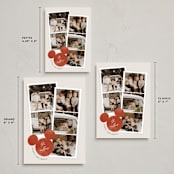 "Snapshots" - Holiday Cards in Cherry by Pixel and Hank - Formats Available