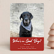 "Good Boy" - Holiday Cards in Crimson by J. Dario Design Co. - Front