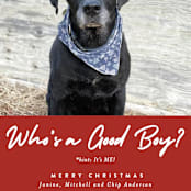 "Good Boy" - Holiday Cards in Crimson by J. Dario Design Co. - Detail