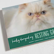 "Grinch Face" - Holiday Cards in Noble Fir by Erica Krystek - Detail