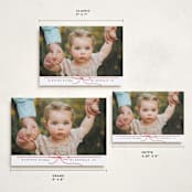 "Petite Bow" - Holiday Cards in Poinsettia by Erica Krystek - Formats Available