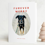 "Furever Merry" - Holiday Cards in Berry by Inkblot Design - Folded Card