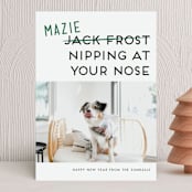 "Not Jack Frost" - Holiday Cards in Evergreen by Akweley Creative - Front