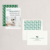 "Not Jack Frost" - Holiday Cards in Evergreen by Akweley Creative - Assembled