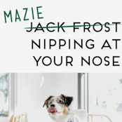 "Not Jack Frost" - Holiday Cards in Evergreen by Akweley Creative - Detail