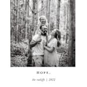 "clean hope" - Holiday Cards in Icicle by Mango Ink - Detail