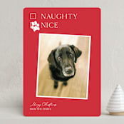 "Nice pup" - Holiday Cards in Poinsettia by Kat Roberts - Front
