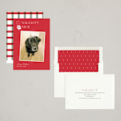 "Nice pup" - Holiday Cards in Poinsettia by Kat Roberts - Assembled