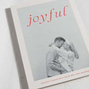 "Frankly" - Holiday Cards in Cardinal by Ani Somi - Detail