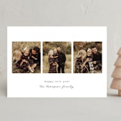 "Very Merry Trio" - Holiday Cards in Snow by Heather Cairl - Front