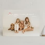 "little cute bow" - Holiday Cards in Holly by Phrosné Barwood - Front