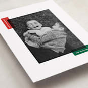 "Borderly" - Holiday Cards in Elf by Jelena Vuletic - Detail