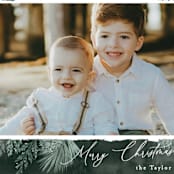"Textured Pines" - Holiday Cards in Pine by Alethea and Ruth - Detail