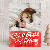 "Not a Creature was Stirring..." - Holiday Cards in Holly Berry by Brooke Chandler - Front