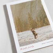 "Edgy" - Holiday Cards in Holly by Pixel and Hank - Detail