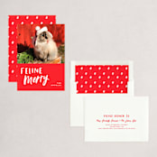 "Feline Merry" - Holiday Cards in Santa Suit by Chryssi Tsoupanarias - Assembled