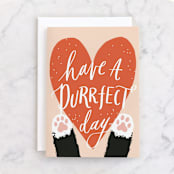 "Pawsitively Purrfect" - Single Greeting Cards in Papaya by Everett Paper Goods - Front