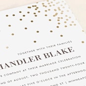 "Thrilling" - Wedding Invitations in Snow by Design Lotus - Detail