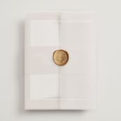 "French Train" - Wedding Invitations in Rose by Ani Somi - Vellum Wrap with Wax Seal