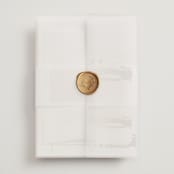 "Modern Serene" - Wedding Invitations in Blush by Hannah Williams - Assembled with Vellum Wrap and Wax Seal