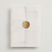 "Trailing Vines" - Wedding Invitations in Almond by Erin L. Wilson - Assembled with Vellum Wrap and Wax Seal