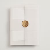 "Champagne" - Wedding Invitations in Rose by Ani Somi - Assembled with Vellum Wrap and Wax Seal