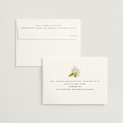 "Limelight" - Wedding Invitations in Linen by Olivia Kanaley Inman - FREE Recipient Addressing