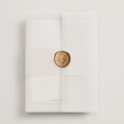 "Overjoyed" - Wedding Invitations in Almond by Jill Means - Assembled with Vellum Wrap and Wax Seal