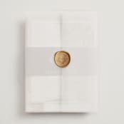 "Pampas & Palms" - Wedding Invitations in Ash by Kaydi Bishop - Assembled with Vellum Wrap and Wax Seal
