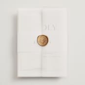 "dance moves" - Wedding Invitations in Tuxedo by Angela Garrick - Assembled with Vellum Wrap and Wax Seal