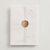 "Felicity" - Wedding Invitations in Pearl by Leah Bisch - Assembled with Vellum Wrap and Wax Seal