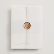 "Glide" - Wedding Invitations in Dusty Blue by Jennifer Postorino - Assembled with Vellum Wrap and Wax Seal