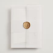 "Modernne" - Wedding Invitations in Powder by Carolyn MacLaren - Assembled with Vellum Wrap and Wax Seal