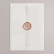 "Emblem" - Wedding Invitations in Champagne by Everett Paper Goods - Vellum Wrap with Wax Seal
