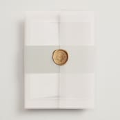 "Fero" - Wedding Invitations in Blush by Pati Cascino - Assembled with Vellum Wrap and Wax Seal