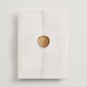 "Around" - Wedding Invitations in Cloud by Kaydi Bishop - Assembled with Vellum Wrap and Wax Seal