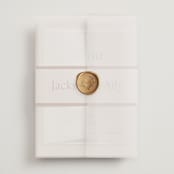 "There Will Be a Party" - Wedding Invitations in Terra Cotta by Amy Payne - Assembled with Vellum Wrap and Wax Seal