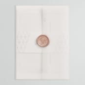 "Sophistotype" - Wedding Invitations in Sea Salt by Snow and Ivy - Vellum Wrap with Wax Seal