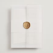"Juniper" - Wedding Invitations in Capri by Blustery August - Assembled with Vellum Wrap and Wax Seal