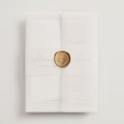 "Aesthetic" - Wedding Invitations in Blush by Liz Conley - Vellum Wrap with Wax Seal