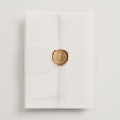"Soft Sprigs" - Wedding Invitations in Champagne by Jennifer Postorino - Assembled with Vellum Wrap and Wax Seal