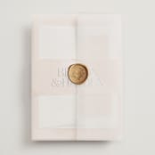 "Swept" - Wedding Invitations in Blush by Snow and Ivy - Assembled with Vellum Wrap and Wax Seal
