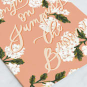 "Jumping The Broom" - Single Greeting Cards in Rosebud by Marabou Design - Close-Up