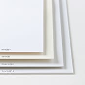 "Disney and Pixar's Toy Story Slinky Dog Saves the Day" - Children’s Stationery in Cinnamon by Jackie Crawford - Paper Types