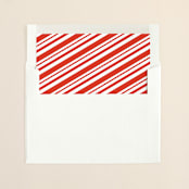 "Photo Booth" - Slip-In Envelope Liners in Berry by Leah Bisch - Liner in envelope