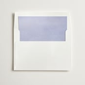 "Sweeping Meadow" - Slip-In Envelope Liners in Wisteria by Everett Paper Goods - Liner in envelope