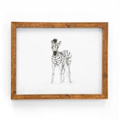 "Zebra" - Original Drawings in brown by Teju Reval