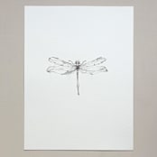 "Dragonfly" - Original Drawings in black by Angele Kamp