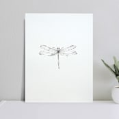"Dragonfly" - Original Drawings in black by Angele Kamp