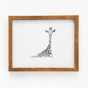 "Giraffe" - Original Drawings in brown by Teju Reval